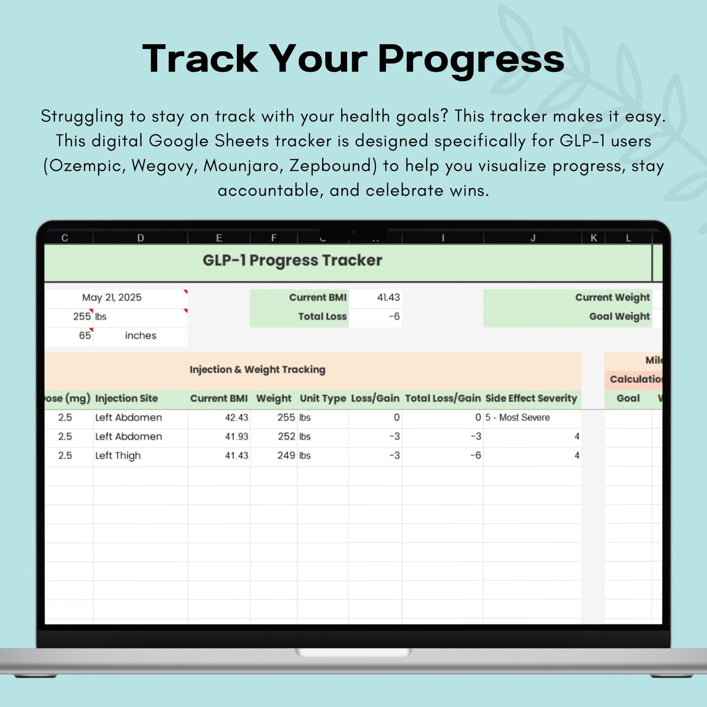 GLP-1 Progress Tracker | Google Sheets | Weight Loss Log | Weightloss | Digital Download